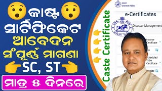 How to Apply Caste Certificate In Odisha  SC Caste Certificate Apply Online  SC ST OBC Certificate [upl. by Juta]