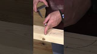 Crosscut and miter cut with jigsaw with bearings blade guide woodworking [upl. by Faucher598]