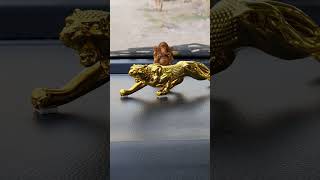 Panther 😯 for car dashboard 😱 decoration shorts ytshorts youtubeshorts panther car viralvideo [upl. by Stochmal]