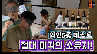 큐와인생 MZ의사들의 제 1회 와인 5종 블라인딩 테스트와인리뷰 [upl. by Martina]