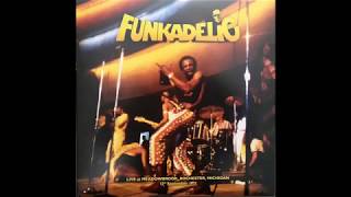 Funkadelic  All Your Goodies Are Gone The Losers Seat [upl. by Swor]