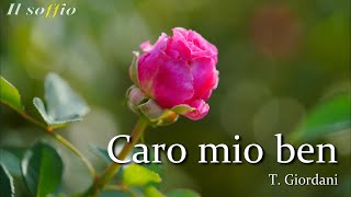 【イタリア古典歌曲集１】Arie antiche Italiane 1  36 Caro mio ben [upl. by Gnilrad767]