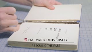 Harvard conservators repair books [upl. by Laeira]