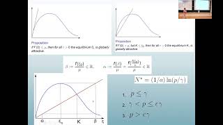 Blowflies equation  anything new [upl. by Beera]