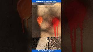 Aervoes Professionals Choice Tree Marking Paint Demonstration [upl. by Egas]