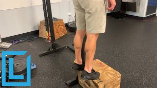 Calf Raise Eccentrics Sequence for Achilles Tendinopathy [upl. by Fortunato477]