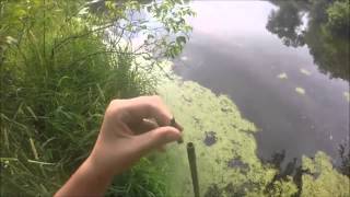 Fishing fail compilation 2 [upl. by Justinian]