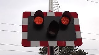 Level Crossing at Burrow Road Dublin [upl. by Nomit]