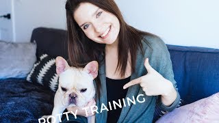 How to Housebreak and Crate Train a Puppy in 3 days  In steps  Advice from a Dog Trainer [upl. by Ambrosine]