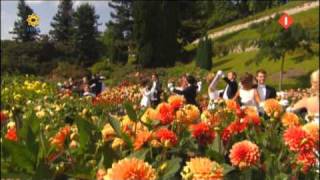 Andre Rieu op bloemeneiland Mainau [upl. by Yleen]