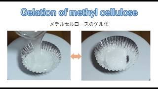 Gelation of methyl cellulose （メチルセルロースのゲル化） [upl. by Mosa853]