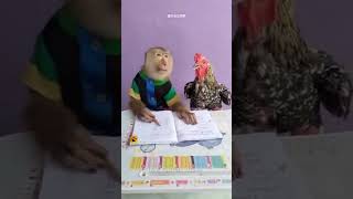 Monkey Mama video varl love song trending music new subscribe lover funny [upl. by Bazar]