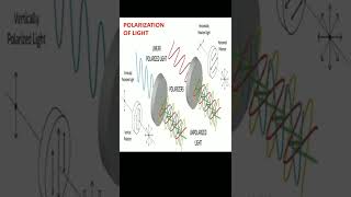 Polarization of Light wbcs2022 Upsc2022 cbse isc light class11class12General Science [upl. by Oribelle924]