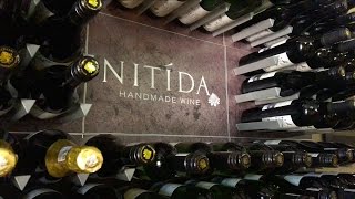 Nitida  Introduction [upl. by Quiteri]