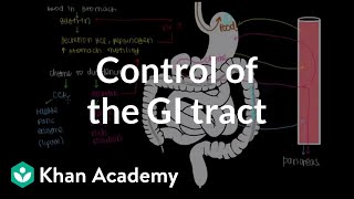 Control of the GI tract  Gastrointestinal system physiology  NCLEXRN  Khan Academy [upl. by Dhar104]