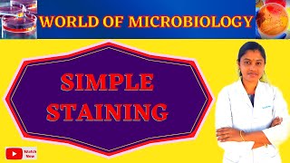 Simple Staining  Bacterial Staining Technique Tamil  Microbiology Practical  Topic 6 [upl. by Yenttirb]