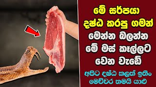 ඔබ මේවා දකින්නේ ජිවිතේ පළමු වතාවට EP274 [upl. by Sumner]