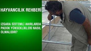 Hayvancılık Rehberi  Izgara Sistemli Ahırlarda Padok Yükseklikleri Nasıl Olmalıdır [upl. by Bocyaj687]