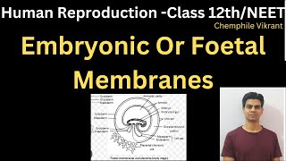 Embryonic Or Foetal Membranes chemphilevikrant [upl. by Trescha]