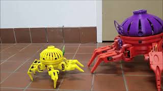 Max The Megapod Playing With Vorpal The Hexapod [upl. by Ennael]