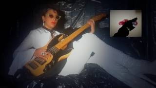 Madonna  Papa Dont Preach bass cover [upl. by Nimesay]