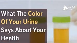 quotWhat Your Urine Color Says About Your Health 🚨 Understanding the Signsquot [upl. by Richardo]