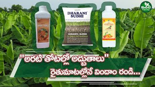 అరటి తోటలలో DHARANI SUDHI NANO GOLD మరియు NON VEG ద్వారా అద్భుతాలు సృష్టించిన quotయువ రైతుquot [upl. by Selegna]