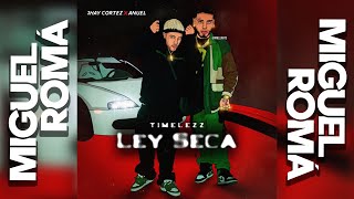 Ley Seca  Anuel AA Jhay Cortez Ozuna Miguel Romá Mashup [upl. by Pelson]