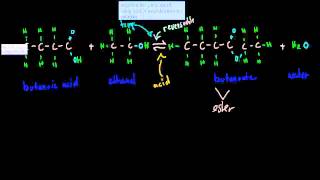 5 Acid cataylst and esterfication HSC chemistry [upl. by Latt]