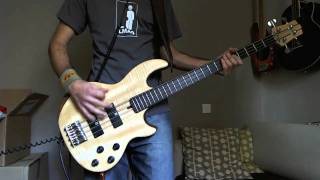 Tool  Rosetta Stoned HD Bass Cover [upl. by Ecyob289]