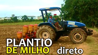 Plantio de Milho  Direto [upl. by Fawcette]