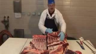 Beef Carcass Fabrication Forequarter [upl. by Astto]