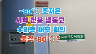 초저온냉동고 Thermo Fisher 써모 피셔 급속냉동 [upl. by Combs]