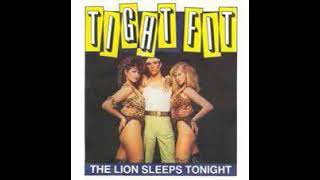 The Lion Sleeps Tonight by Tight Fit 1982 [upl. by Pollack]