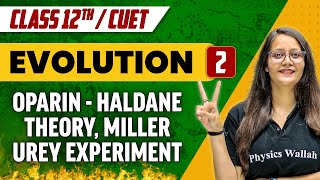 Evolution 02  Oparin Haldane Theory Miller Urey Experiment  Class 12thCUET [upl. by Bradan522]