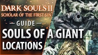 Dark Souls II SotFS  Guide  All 5 Souls of a Giant Locations [upl. by Zapot]