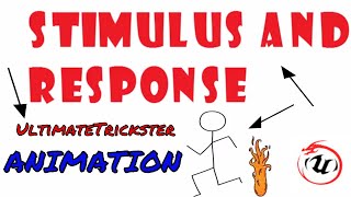 STIMULUS AND RESPONSE ANIMATION🐉🐉 [upl. by Asina]