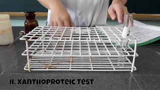 7a  CHEM 104A  Activity 7 Color Reactions of Proteins [upl. by Persian]