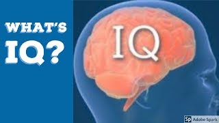 What is IQ  IQ1 [upl. by Dorree]