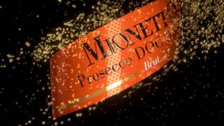 Mionetto Prosecco Commercial 2015 [upl. by Ferna]