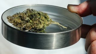 Bundesrat bereitet Weg für CannabisFreigabe [upl. by Rettke]