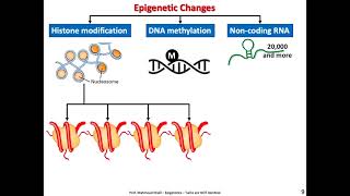 EPIGENETICS IDENTICAL TWINS ARE NOT REALLY IDENTICAL [upl. by Gahl]