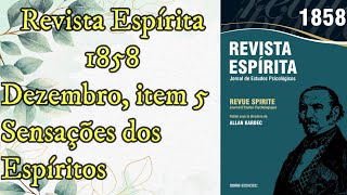 Sensações dos Espíritos  Dezembro item 5  Revista Espírita de 1858  Audiobok [upl. by Lua]