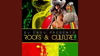 Roots and Culture Mix Vol1 [upl. by Enelia]