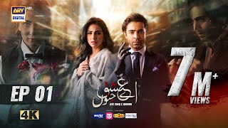 Aye Ishq e Junoon Episode 1  Ushna Shah  Sheheryar Munawar  11th Nov 2024 Eng Sub  ARY Digital [upl. by Itagaki]