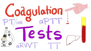 Coagulation Tests  PT aPTT TT Fibrinogen Mixing Studies [upl. by Sabah456]