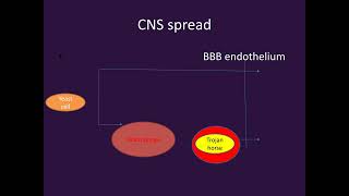 Cryptococcosis PART1Microbiology Lecture [upl. by Clie]