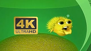 4K 60FPS Original Meme Fish Yellow Singing Pufferfish [upl. by Grannias]