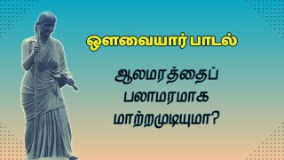 ஆலமரத்தைப் பலாமரமாக்க முடியுமா  Avvaiyar Padalgal  Em Tamil Amudham [upl. by Severen]