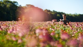 Beleef de AVogel tuinen met onze tuinmannen Joost en Frans [upl. by Opiak37]